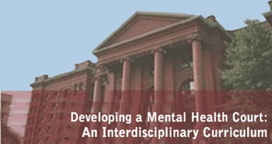 Developing a Mental Health Court: An Interdisciplinary Curriculum