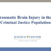 Image for: Traumatic Brain Injury in the Criminal Justice Population