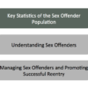 Image for: An Overview of Sex Offender Reentry: Building a Foundation for Professionals