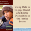 Image for: Identifying Racial and Ethnic Disparities in the Criminal and Juvenile Justice Systems through Data Collection