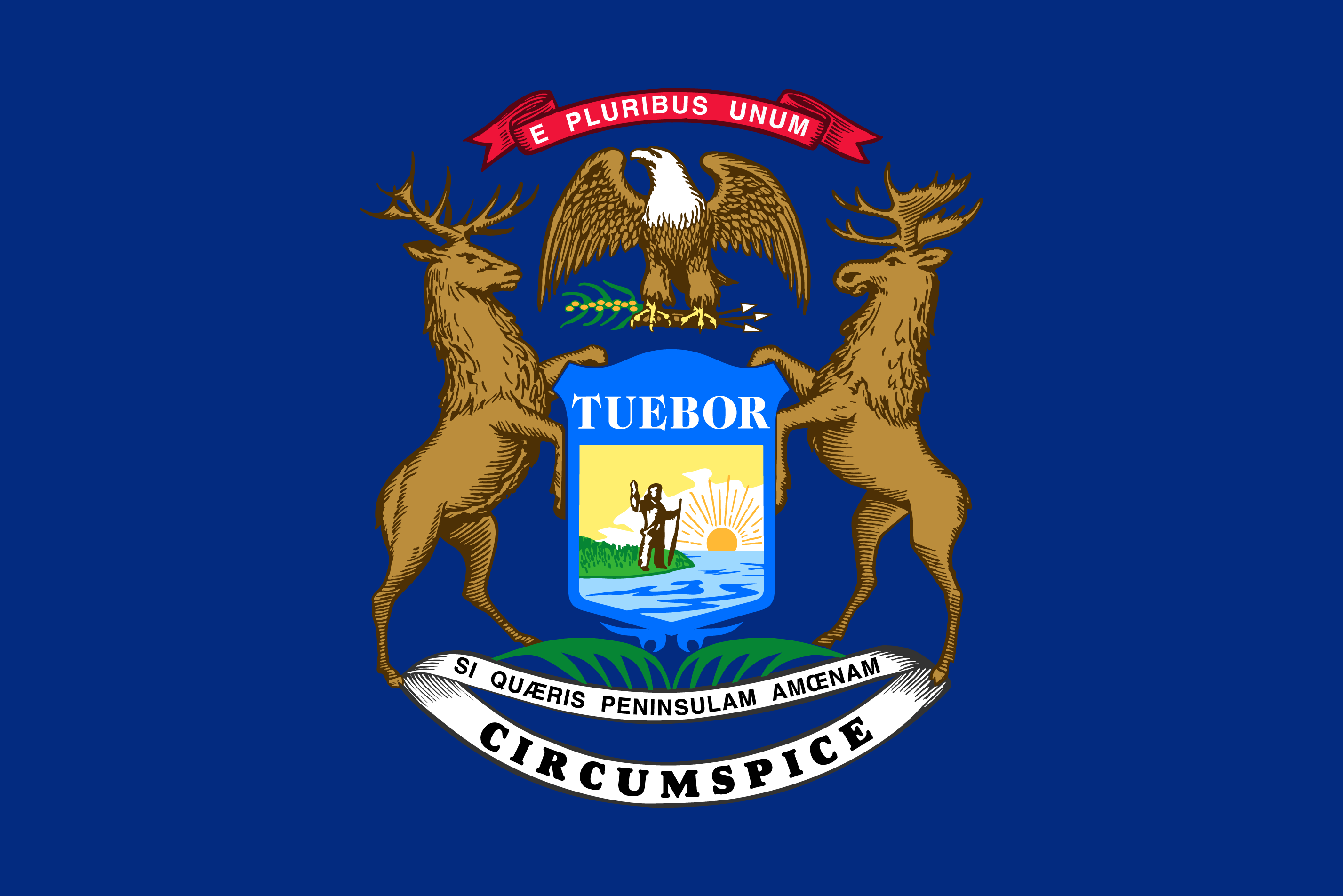 flag of michigan