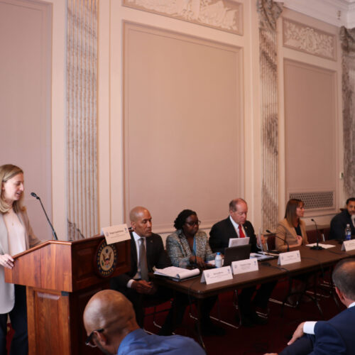Megan Quattlebaum speaks to audience at Congressional briefing