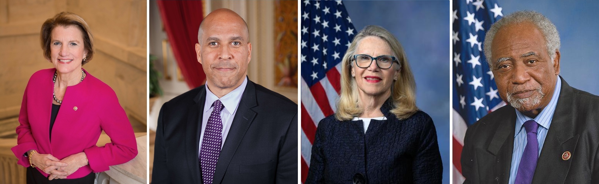 Senators Shelley Moore Capito (R-WV) and Cory Booker (D-NJ) and Representatives Carol Miller (D-WV) and Danny K. Davis (D-IL)