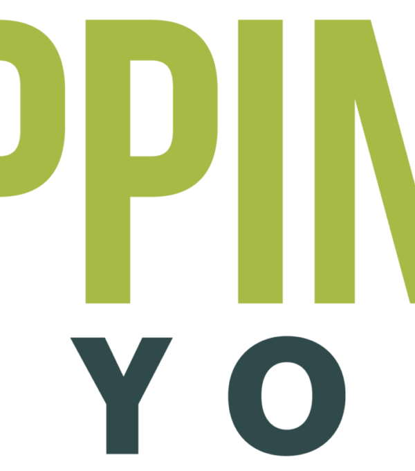 Stepping Up for Youth logo